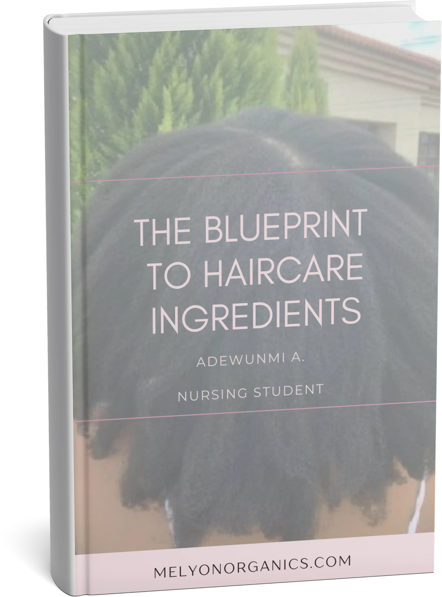 The Blueprint to Haircare Ingredients M'Elyon Organics