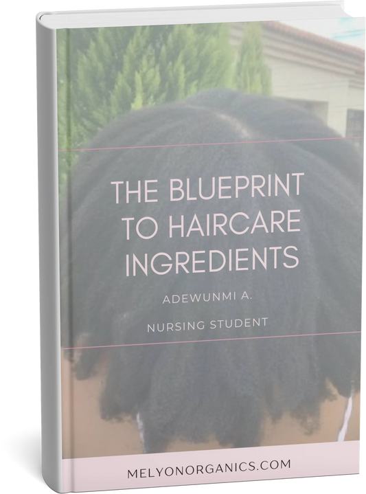 The Blueprint to Haircare Ingredients M'Elyon Organics